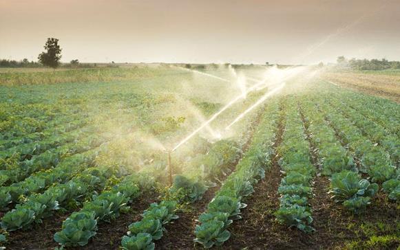 “肥田沃地”到增富山家庭农场推广苹果专用型氨基酸叶面肥